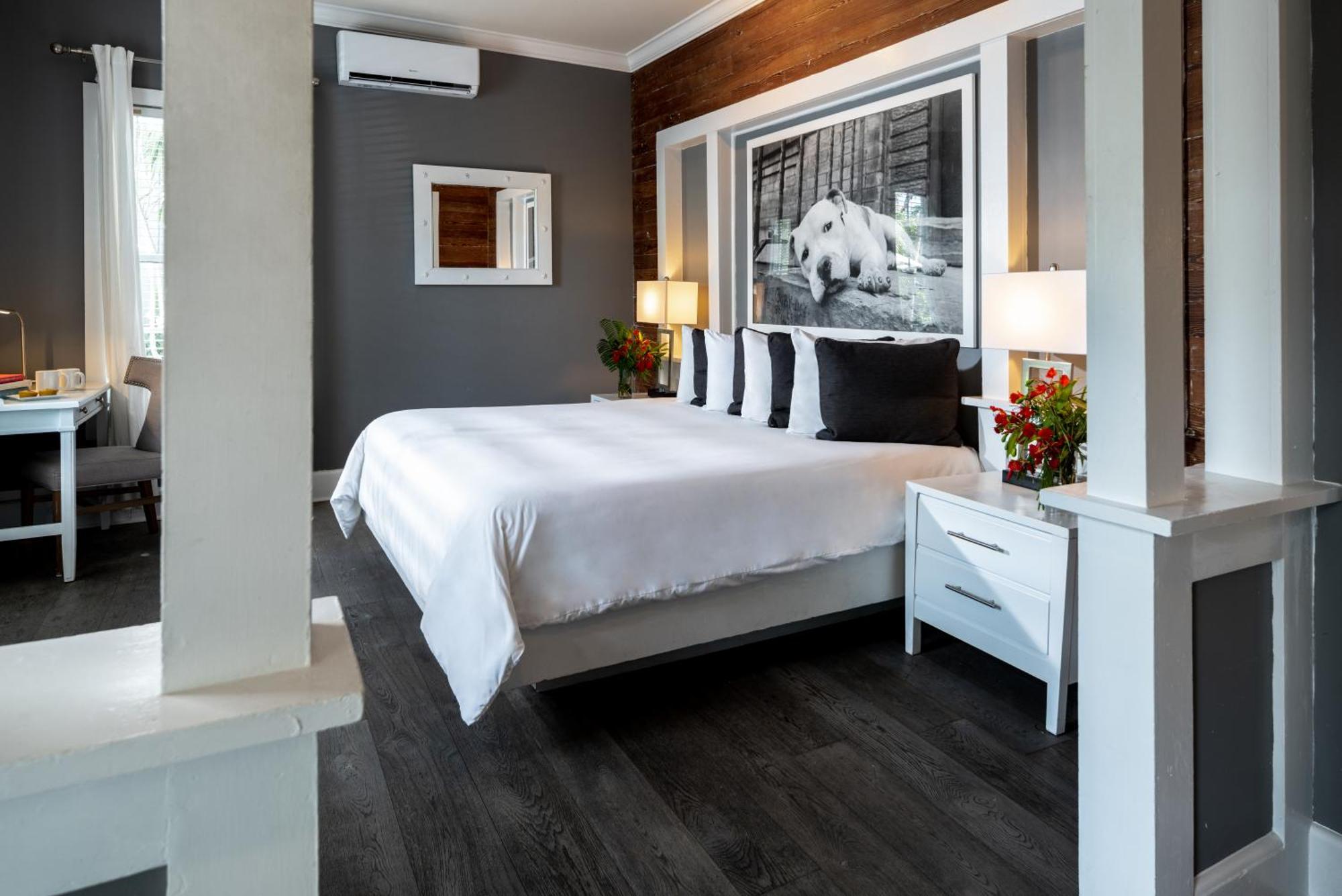 Alexander'S Guesthouse-Adult Exclusive, Lgbtq Friendly Key West Oda fotoğraf