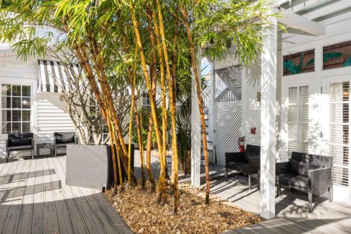 Alexander'S Guesthouse-Adult Exclusive, Lgbtq Friendly Key West Oda fotoğraf